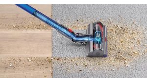 Dyson o Rowenta