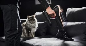 Dyson vs Rowenta aspiradoras